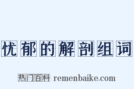 忧郁的解剖组词是什么意思的图片